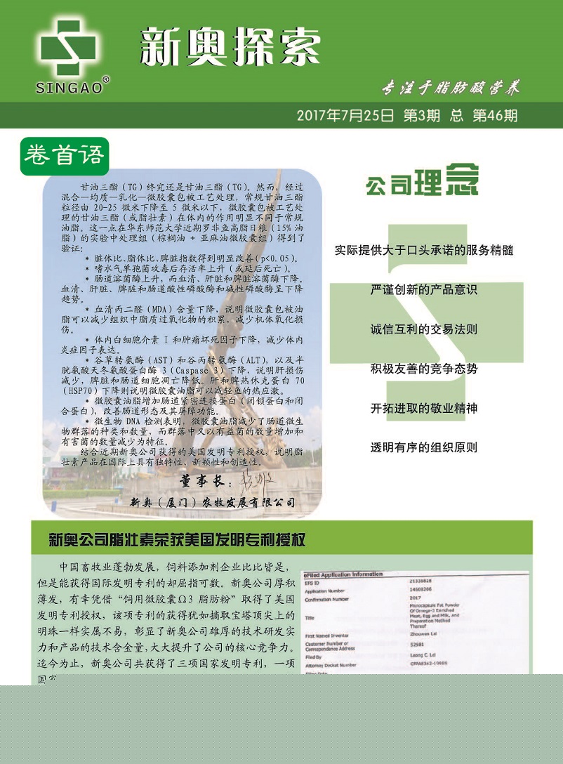 澳门最精准正最准正最更新与警惕虚假宣传-全面释义、实时解答解释落实